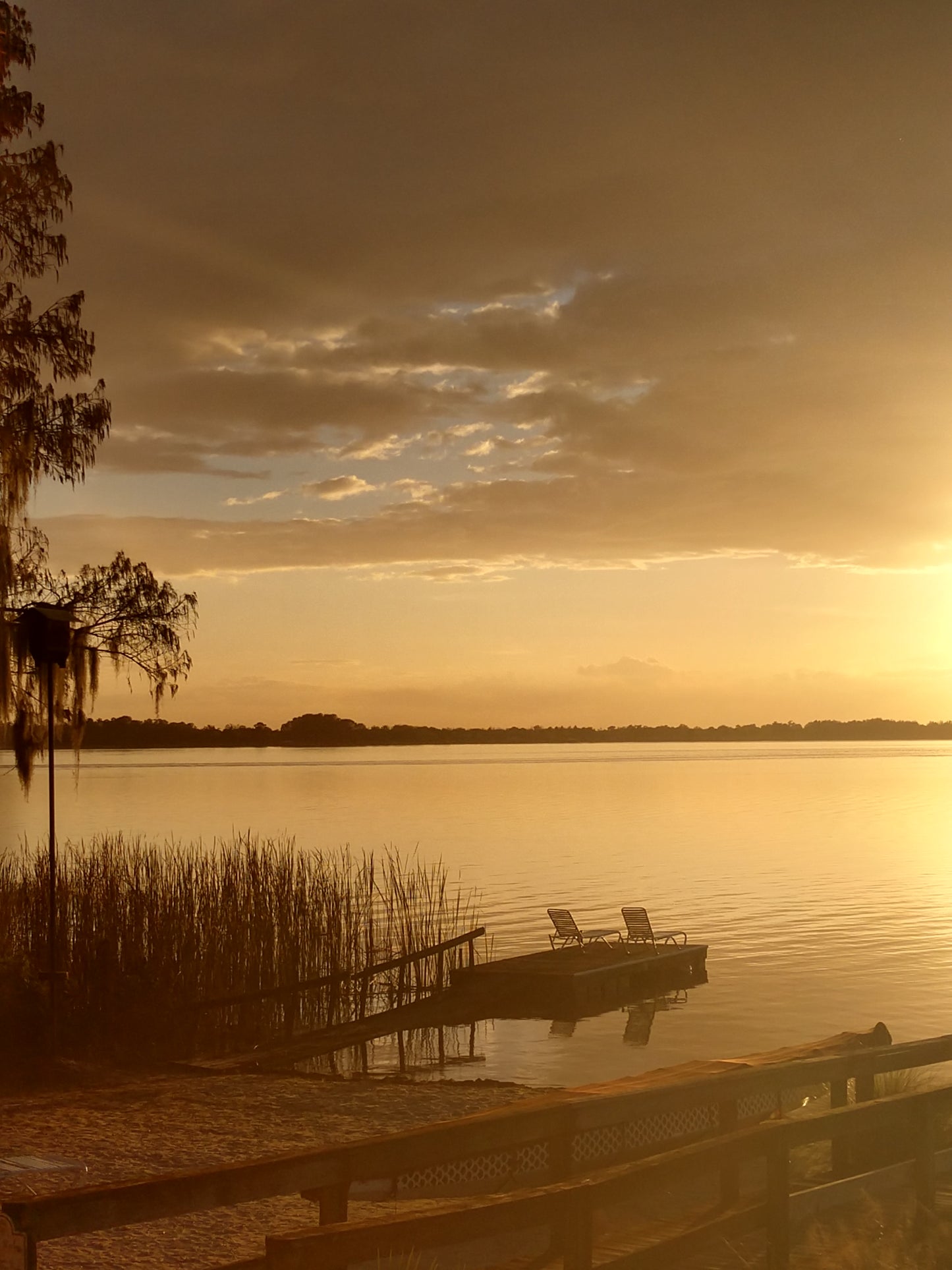 Lake Dora, Peace & Serenity